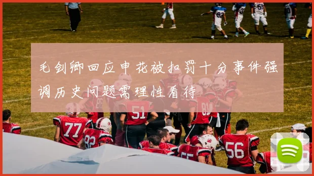 毛剑卿回应申花被扣罚十分事件强调历史问题需理性看待