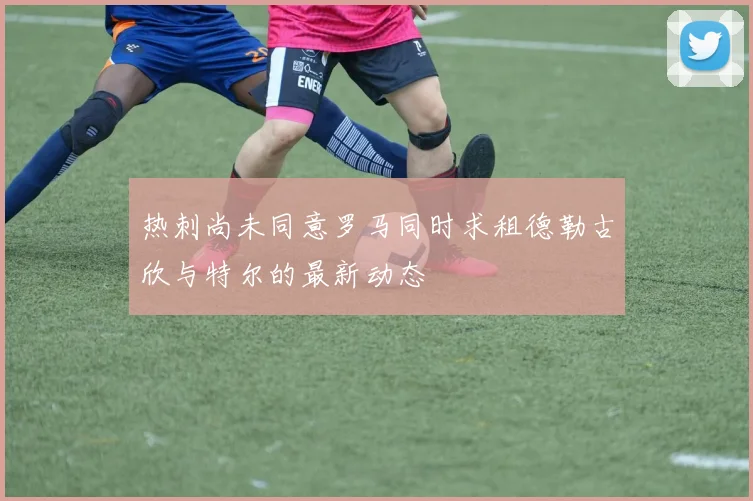 热刺尚未同意罗马同时求租德勒古欣与特尔的最新动态